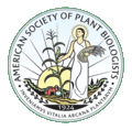 Vice President, Membership and Meetings