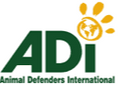 Social Media Director