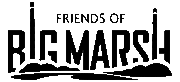 Logo of Friends of Big Marsh