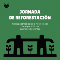Jornadas de reforestación