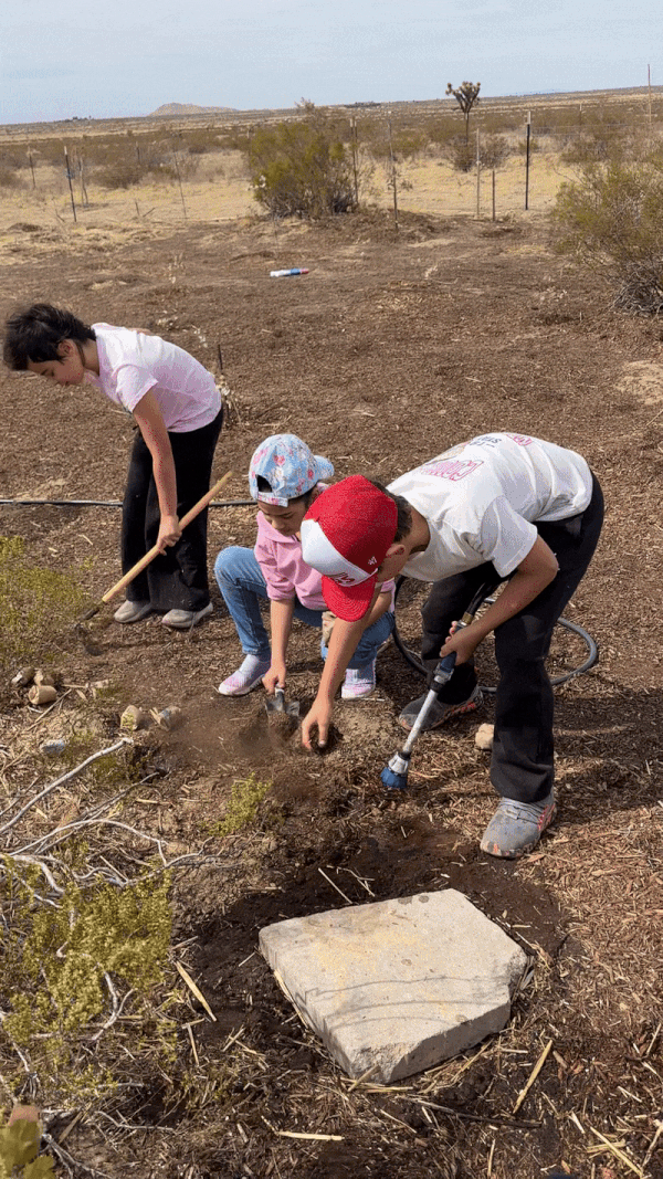 Call for Leadership: Board of Directors at For Every Star, A Tree